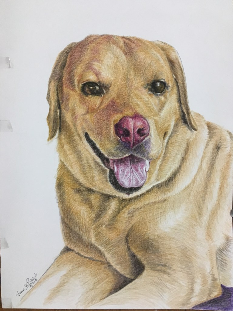Faber Castell Polychromos Pencil Pet Portrait
