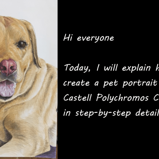 Faber Castell Polychromos Pencil Portrait tutorial