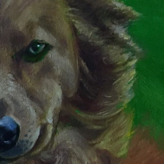 Jackie – The Mountain&nbsp;Dog